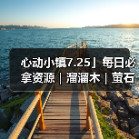 心动小镇7.25」每日必拿资源|溜溜木|萤石位置一览(图1) 心动小镇7.25」每日必拿资源|溜溜木|萤石位置一览(图1)