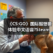 《CS:GO》国际服想要体验中文语音?Steam来帮忙！（图2）