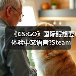 《CS:GO》国际服想要体验中文语音?Steam来帮忙！（图4）
