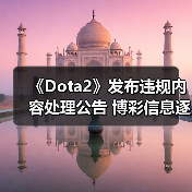 《Dota2》发布违规内容处理公告 博彩信息逐字屏蔽（图2）