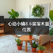 心动小镇8.6溜溜木萤石位置(图4) 心动小镇8.6溜溜木萤石位置(图4)
