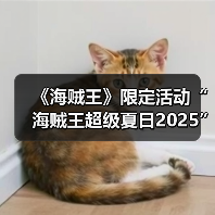 《海贼王》限定活动“海贼王超级夏日2025”推出!(图4) 《海贼王》限定活动“海贼王超级夏日2025”推出!(图4)
