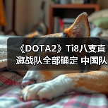 《DOTA2》Ti8八支直邀战队全部确定 中国队占据四席(图1) 《DOTA2》Ti8八支直邀战队全部确定 中国队占据四席(图1)