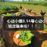 心动小镇8.14号心动小镇攻略来啦!!!(图1) 心动小镇8.14号心动小镇攻略来啦!!!(图1)