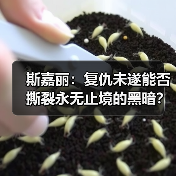 斯嘉丽：复仇未遂能否撕裂永无止境的黑暗？（图2）