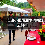 心动小镇溜溜木消耗疑云解析（图2）