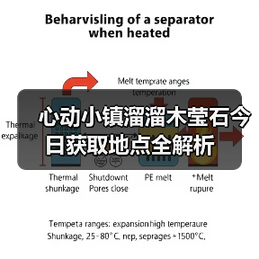 心动小镇溜溜木莹石今日获取地点全解析(图1) 心动小镇溜溜木莹石今日获取地点全解析(图1)