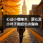 心动小镇橡木、萤石及小鸭子拍摄地点指南（图4）