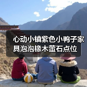 心动小镇紫色小鸭子家具泡泡橡木萤石点位(图4) 心动小镇紫色小鸭子家具泡泡橡木萤石点位(图4)