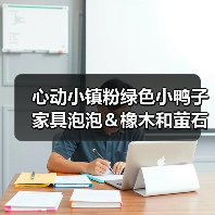 心动小镇粉绿色小鸭子家具泡泡＆橡木和萤石点位（图3）