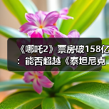 《哪吒2》票房破158亿:能否超越《泰坦尼克号》?(图3) 《哪吒2》票房破158亿:能否超越《泰坦尼克号》?(图3)