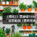 《哪吒2》票房破158亿:能否超越《泰坦尼克号》?(图1) 《哪吒2》票房破158亿:能否超越《泰坦尼克号》?(图1)