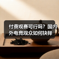 付费观赛可行吗?国内外电竞观众如何抉择(图1) 付费观赛可行吗?国内外电竞观众如何抉择(图1)