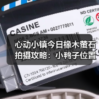 心动小镇今日橡木萤石拍摄攻略:小鸭子位置全解析(图4) 心动小镇今日橡木萤石拍摄攻略:小鸭子位置全解析(图4)