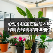心动小镇萤石溜溜木粉绿鸭青绿鸭家具详细位置攻略(图3) 心动小镇萤石溜溜木粉绿鸭青绿鸭家具详细位置攻略(图3)