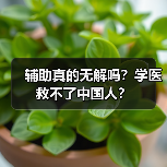 辅助真的无解吗？学医救不了中国人？（图2）
