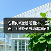 心动小镇溜溜橡木、萤石、小鸭子气泡最新位置(图4) 心动小镇溜溜橡木、萤石、小鸭子气泡最新位置(图4)