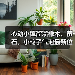 心动小镇溜溜橡木、萤石、小鸭子气泡最新位置(图3) 心动小镇溜溜橡木、萤石、小鸭子气泡最新位置(图3)