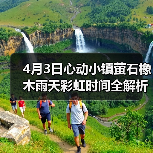 4月3日心动小镇萤石橡木雨天彩虹时间全解析(图1) 4月3日心动小镇萤石橡木雨天彩虹时间全解析(图1)