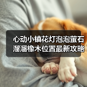 心动小镇花灯泡泡萤石溜溜橡木位置最新攻略合集(图3) 心动小镇花灯泡泡萤石溜溜橡木位置最新攻略合集(图3)
