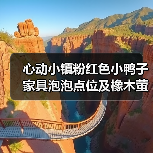 心动小镇粉红色小鸭子家具泡泡点位及橡木萤石获取时间(图2) 心动小镇粉红色小鸭子家具泡泡点位及橡木萤石获取时间(图2)