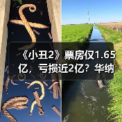 《小丑2》票房仅1.65亿，亏损近2亿？华纳：谣言！（图2）