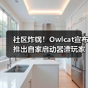 社区炸锅！Owlcat宣布推出自家启动器遭玩家一面倒反对（图4）