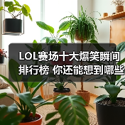 LOL赛场十大爆笑瞬间排行榜 你还能想到哪些？（图2）