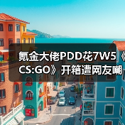 氪金大佬PDD花7W5《CS:GO》开箱遭网友嘲讽 非酋戒赌现场引热议（图2）