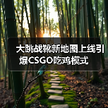 大跳战靴新地图上线引爆CSGO吃鸡模式(图4) 大跳战靴新地图上线引爆CSGO吃鸡模式(图4)