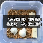《直到黎明》电影版即将上映！希尔医生回归引期待（图4）