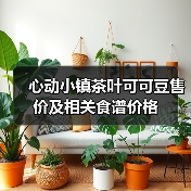 心动小镇茶叶可可豆售价及相关食谱价格（图3）