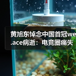 黄旭东悼念中国首冠we.ace病逝:电竞圈痛失传奇(图4) 黄旭东悼念中国首冠we.ace病逝:电竞圈痛失传奇(图4)