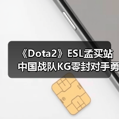 《Dota2》ESL孟买站中国战队KG零封对手勇夺冠军!(图3) 《Dota2》ESL孟买站中国战队KG零封对手勇夺冠军!(图3)