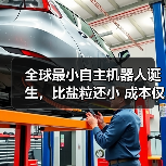 全球最小自主机器人诞生，比盐粒还小 成本仅为1美分（图4）