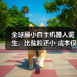 全球最小自主机器人诞生，比盐粒还小 成本仅为1美分（图1）