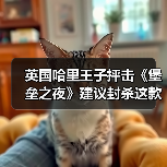 英国哈里王子抨击《堡垒之夜》建议封杀这款游戏!!