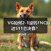 VG如何2-1逆转FNC挺进S11总决赛?(图2) VG如何2-1逆转FNC挺进S11总决赛?(图2)