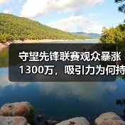 守望先锋联赛观众暴涨1300万，吸引力为何持续飙升？（图4）