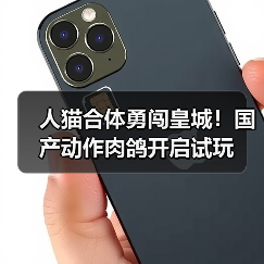 人猫合体勇闯皇城！国产动作肉鸽开启试玩（图2）