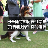巴蒂斯特如何在绷带与子弹间抉择?你的选择决定未来!(图2) 巴蒂斯特如何在绷带与子弹间抉择?你的选择决定未来!(图2)