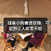 线条小狗食谱攻略:可爱到让人欲罢不能(图3) 线条小狗食谱攻略:可爱到让人欲罢不能(图3)