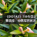 《DOTA2》TI8今日正赛战报:中国军团状况不容乐观(图4) 《DOTA2》TI8今日正赛战报:中国军团状况不容乐观(图4)
