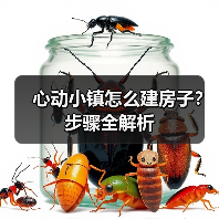 心动小镇怎么建房子?步骤全解析(图2) 心动小镇怎么建房子?步骤全解析(图2)