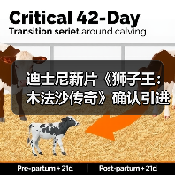 迪士尼新片《狮子王:木法沙传奇》确认引进中国内地!(图2) 迪士尼新片《狮子王:木法沙传奇》确认引进中国内地!(图2)