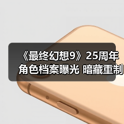 《最终幻想9》25周年角色档案曝光 暗藏重制版线索?(图1) 《最终幻想9》25周年角色档案曝光 暗藏重制版线索?(图1)