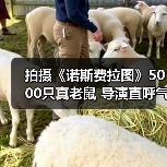 拍摄《诺斯费拉图》5000只真老鼠 导演直呼气味难忍(图1) 拍摄《诺斯费拉图》5000只真老鼠 导演直呼气味难忍(图1)