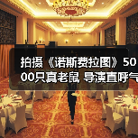 拍摄《诺斯费拉图》5000只真老鼠 导演直呼气味难忍(图2) 拍摄《诺斯费拉图》5000只真老鼠 导演直呼气味难忍(图2)