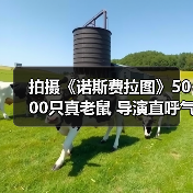 拍摄《诺斯费拉图》5000只真老鼠 导演直呼气味难忍(图3) 拍摄《诺斯费拉图》5000只真老鼠 导演直呼气味难忍(图3)