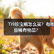 Ti9珍宝瓶怎么买?有哪些稀有物品?(图3) Ti9珍宝瓶怎么买?有哪些稀有物品?(图3)